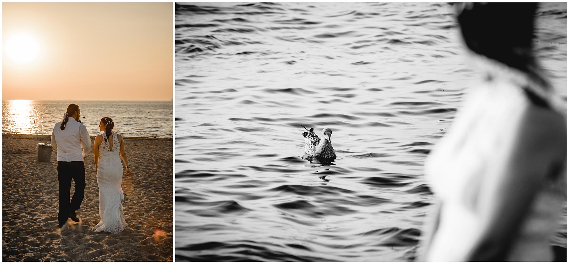 Foto-1_Brautpaar-spaziert-am-Ostseestrand-den-Sonnenuntergang-entgegen_Foto-2_Moewe-schwimmt-in-der-Ostsee-Hochzeitsfotografie-Hochzeitsfotograf-Warnemuende-Hochzeitsfotograf-Rostock-Hochzeitsfotograf-Ostseebad-Warnemuende