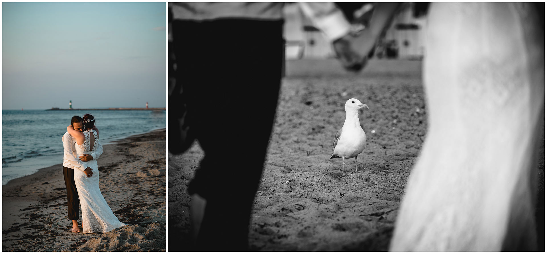 Bild-1_Brautpaar-arm-in-arm-am-Ostseestrand-Bild-2_eine-Moewe-am-Ostseestrand-Hochzeitsfotografie-Hochzeitsfotograf-Warnemuende-Hochzeitsfotograf-Rostock-Hochzeitsfotograf-Ostseebad-Warnemuende