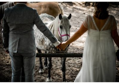 Blog - Hochzeitsfotos - Fotograf - Hochzeit - Rostock - Hochzeitsfotograf Rostock - Fotograf Hochzeit Rostock