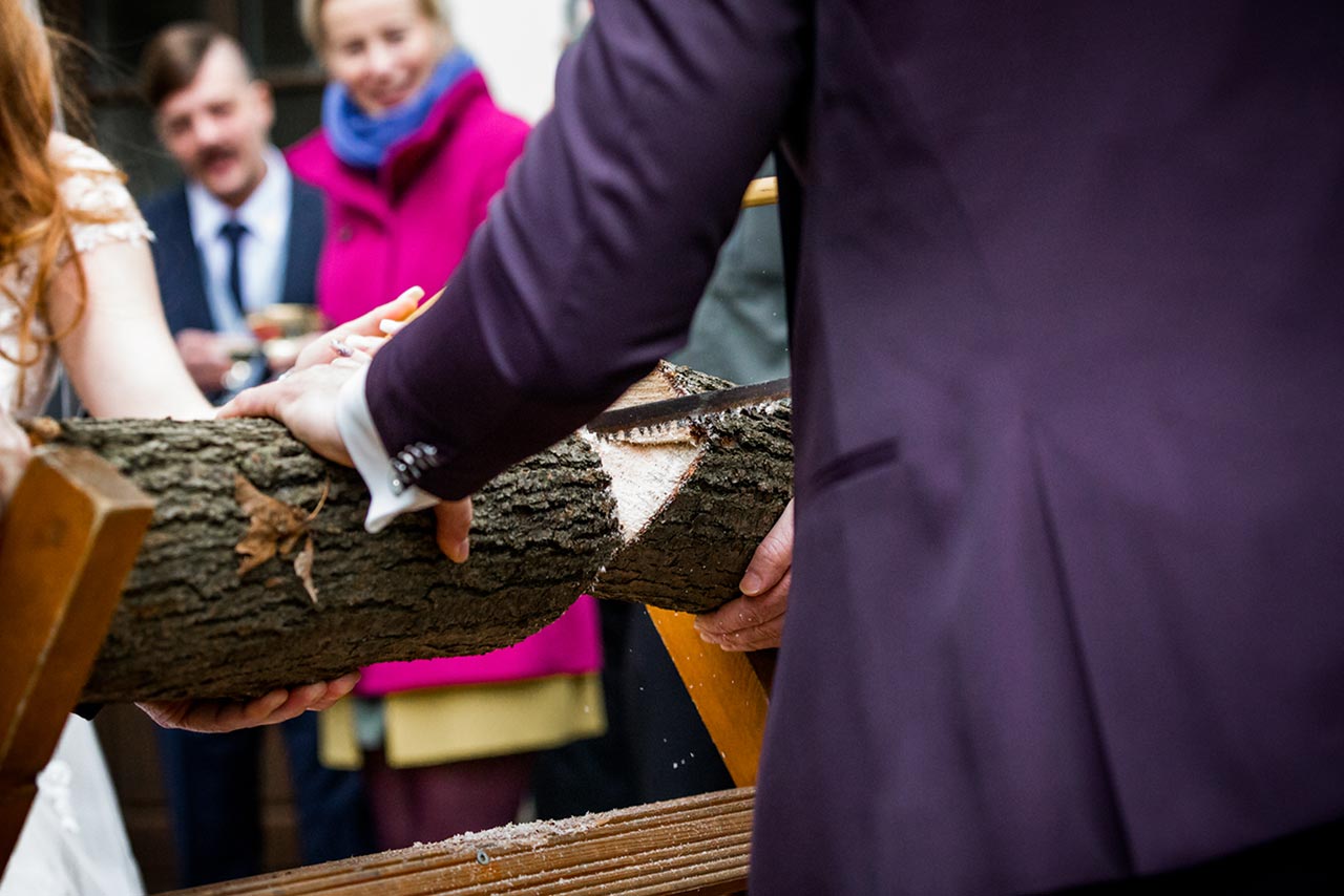 Nahaufnahme durchgesägter Baumstamm - Hochzeitsfotograf